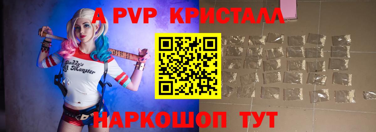A PVP СК КРИС Губкинский