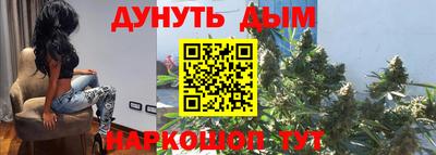 гидра Братск