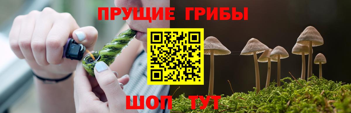 Галлюциногенные грибы Cubensis  Вход с VPN  Губкинский  Галлюциногенные грибы Psilocybine cubensis 